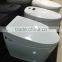 Warm water washing Automatic Operation Sanitary Ware Smart Toilet