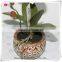 new design artificial orchid flower plants paper flower with pot