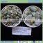 high polished 2-5cm pebble for paving use