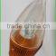 Golden base E14 led glass bulb light