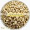 2014 Pine Nut Kernels, Dried Pine nut kernels