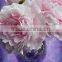 Synthetic Fragrance, Water Soluble Fragrance Oil, Long Lasting Hair Washing Shampoo Essence Oil
