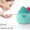 usb chage beauty device facial brush with massager function