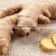 DRIED GINGER SUPPLIER