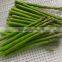 Frozen Fresh Green Asparagus