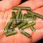 Alfalfa Pellet and Wheat Straw Animal Feed Pellet
