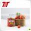 Canned tomato paste OEM brand