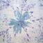 ramie yarn-dyed fabric