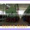 Waste Black Oil Recycling Purify Distillation Machine
