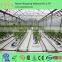 Multi Functional High Quality Tunnel Vegetable Greenhouse for Sale
