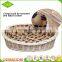 Wholesale custom eco-friendly new style comfortable decoration cheap willow wicker basket for pet