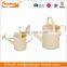 colored garden metal watering can for plant with hand