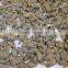 frozen boiled baby clam meat