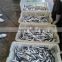 hot sales Land frozen anchovy for bait
