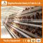 High quality cheap poultry cage layer chicken used chicken cage