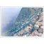 hexagonal wire mesh/gabion