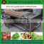 Commercial Fruit and Vegetable Cleaner Carrot Date Tomato Washer Potato Cucumber Melon Washing Cleaning Machine