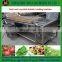 Good performance vegetable and fruit washing machine
