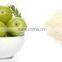 Superior quality Bhumi Amla powder at your door step