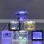 Water Garden LED Lamp Transparent Acrylic Ornamental Small Fish And Reptiles Multiple Colors Tank Gift