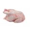 2021 Best Sale A Grade Quality Halal Frozen Chicken Meat