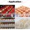 Hot Sale Egg Grader Egg Grading Machine For Duck/Quail /Goose/Chicken Egg