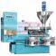 Popular small olive oil machine cold press manufacture