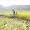 Rice harvest machine mini rice | corn | sugarcane cutting harvest grass cutter can used in garden | paddy field | hill