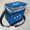 polyester cooler bag