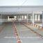 automatic poultry feeding line