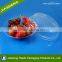 Disposable Plastic Fruit Food Grade Container Clamshell Packing