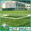 Never faded and no hurt artificial grass for soccer field
