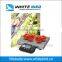 China electronic scale /dried fish scale