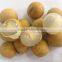 2015 July 100% Orchard fresh sweet Longan fruit