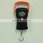 High Precision Mini Portable Digital Hanging Scale