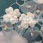 NEW FASHION TULLE EMBROIDERY BEADED APPLIQUE FABRIC