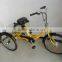 24" beautiful electric tricycle(FP-ETRI02)