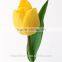 kunming suply 2016 high quality fresh cut yellow tulip plant