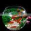 Decorative Ball Shape Fish Bowl Clear Glass Fish Bowl