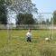Soccer goal with PE net