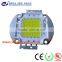 Bridgelux epistar chip COB LED Module ,Professional COB manufacture in Shenzhen