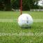 AV Grass big hit SGS CE Golf Field China