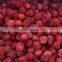 2016 May new crop IQF frozen strawberry fruit iqf strawberry