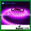  wholesale flexible 5v smd 5050 led strip magic digital rgb led strip ws2812b waterproof led strip lights