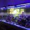 20000k led aquarium led light 72 inch led aquarium light timer sunrise and sunset aquarium light led wifi controller
