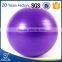 Wholesale logo printing oval gym ball,private label exercise ball,ball for gym