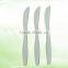 B33-0144 Biodegradable Pla Ice Cream Spoon