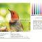 Adhesive transparent pvc film/pvc lamination film/pvc self adhesive cold lamination film