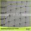 China Exporter Uv Long Life Plastic Olive Harvest Nets for Sale