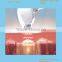 Fast and Effective! laser hair removal/hair removal laser beauty machine/permanent hair removal